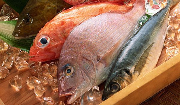 Seafood exports increase by 5.08% in 7 months